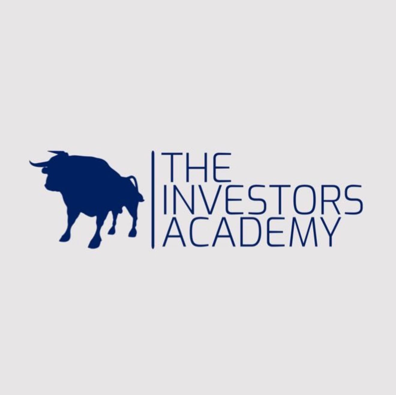 The Investors Academy